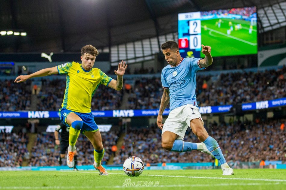 宣传教育 宣传教育